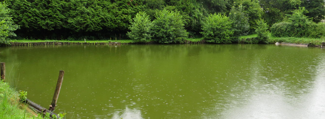 Analyse d’eau – mesurer les pesticides dans son étang, rivière, puits…